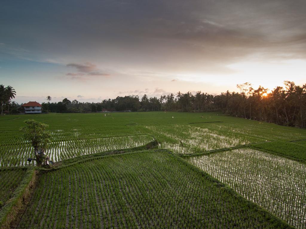 Semanggi Cottage Ubud  Bilik gambar